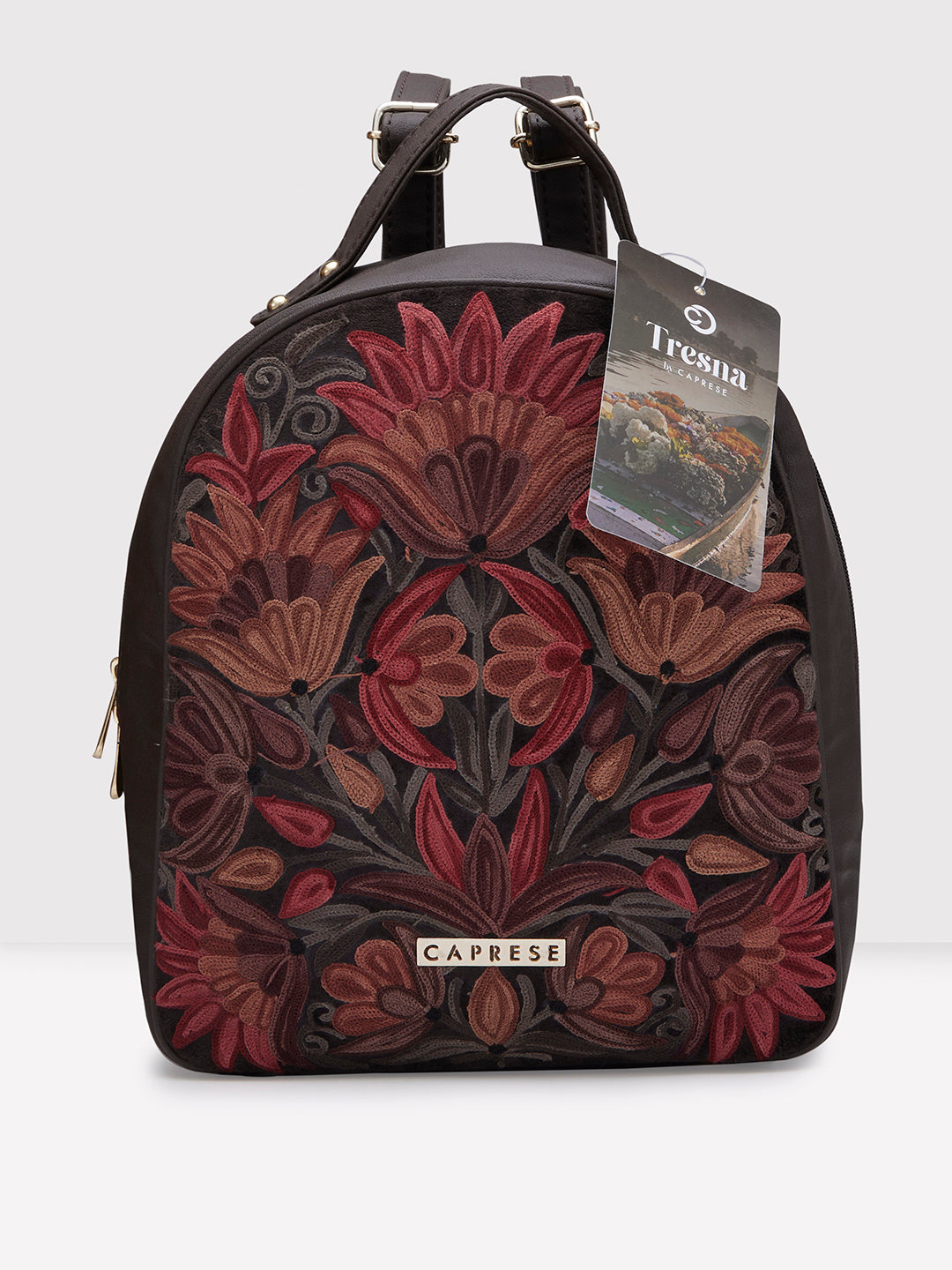 Caprese Tresna Medium Brown Backpack