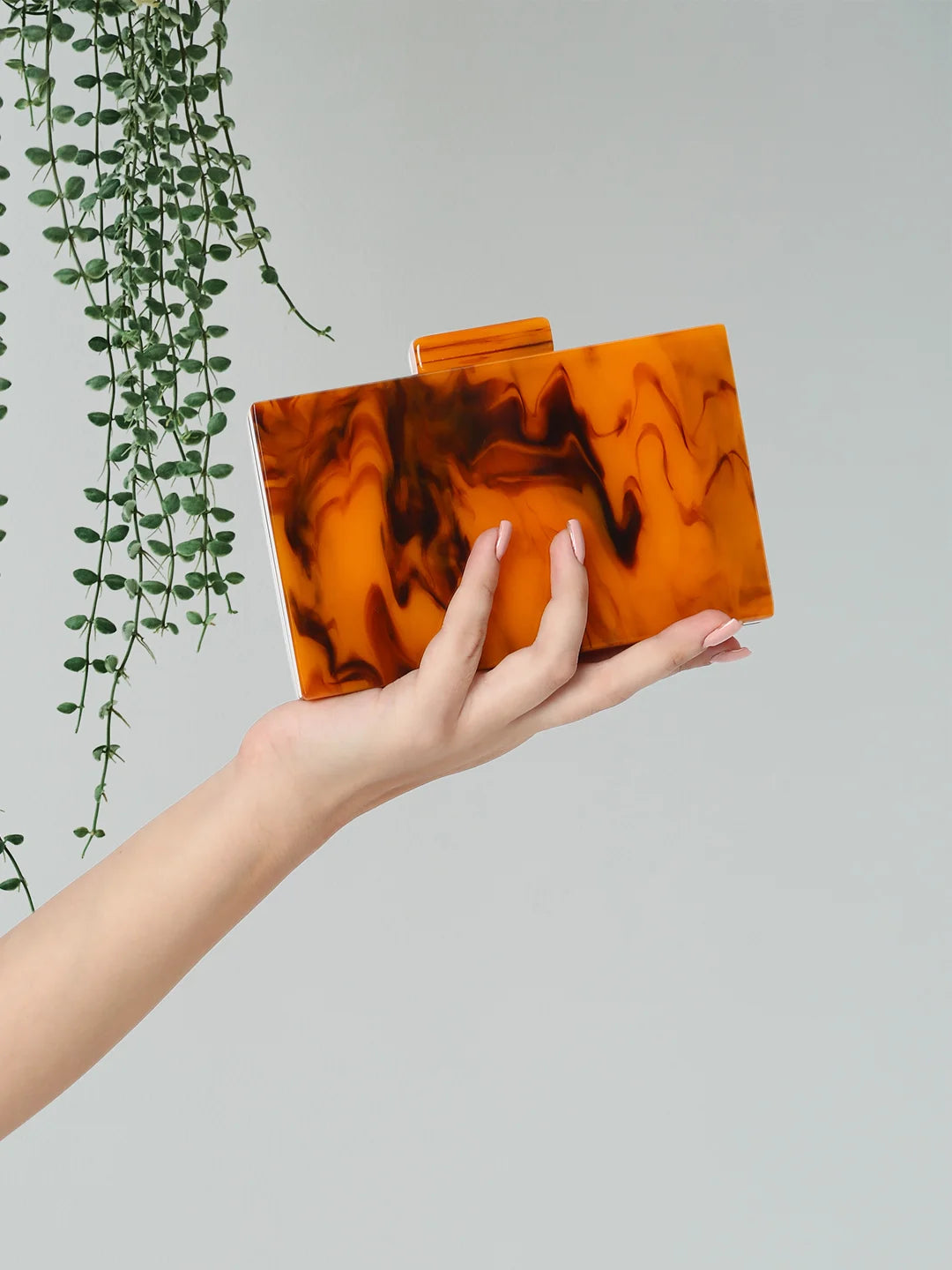 Caprese Gemma Small Brown Clutch - Image 2